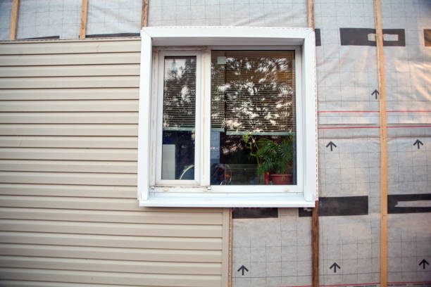 Best Insulated Siding Installation  in Los Angeles, CA