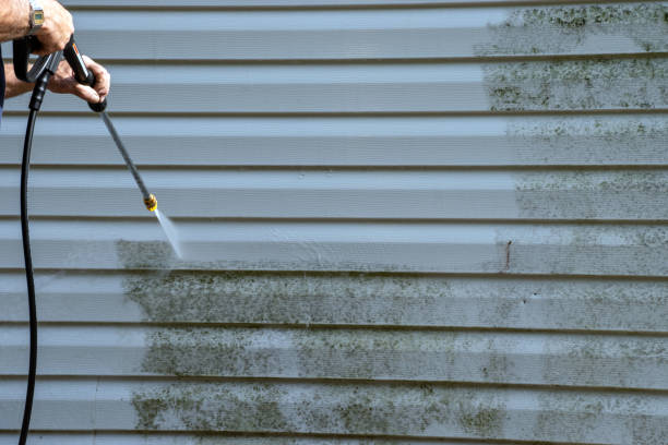 Best Residential Vinyl Siding Installation  in Los Angeles, CA