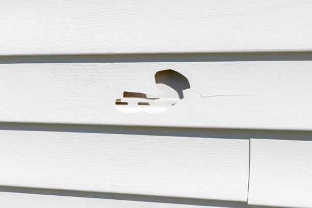 Best Composite Siding  in Los Angeles, CA