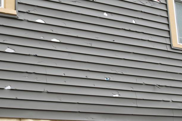 Best Insulated Siding Installation  in Los Angeles, CA