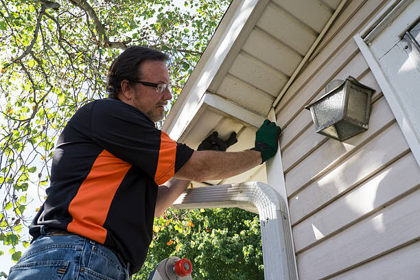 Affordable siding repair and maintenance services in Los Angeles, CA